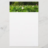 Veld Lotus Flowers Summer Garden Briefpapier (Voorkant)