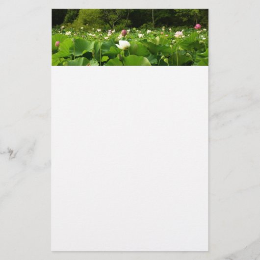 Veld Lotus Flowers Summer Garden Briefpapier (Voorkant)