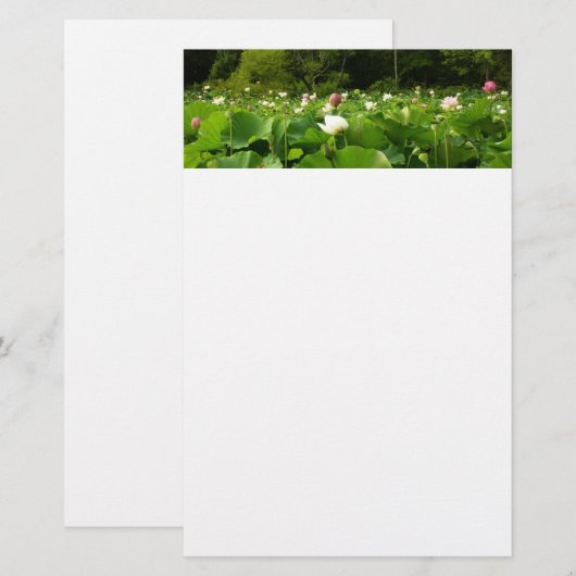 Veld Lotus Flowers Summer Garden Briefpapier (Voorkant / Achterkant)