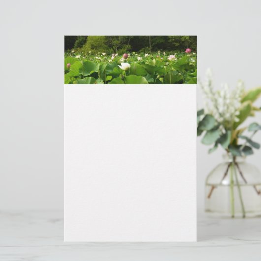 Veld Lotus Flowers Summer Garden Briefpapier (Staand voorkant)