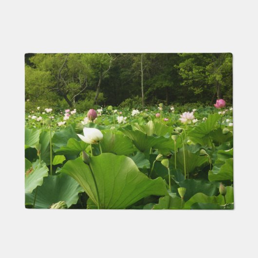 Veld Lotus Flowers Summer Garden Deurmat (Voorkant)
