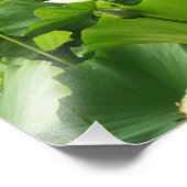 Veld Lotus Flowers Summer Garden Foto Afdruk (Hoek)