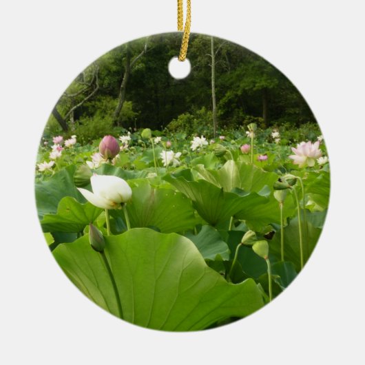 Veld Lotus Flowers Summer Garden Keramisch Ornament (Voorkant)