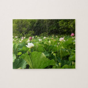 Veld Lotus Flowers Summer Garden Legpuzzel