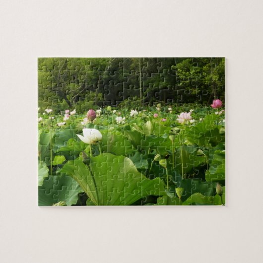 Veld Lotus Flowers Summer Garden Legpuzzel (Horizontaal)
