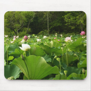 Veld Lotus Flowers Summer Garden Muismat