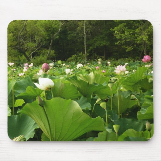 Veld Lotus Flowers Summer Garden Muismat (Voorkant)