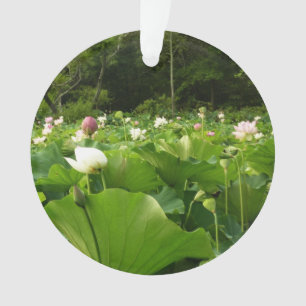 Veld Lotus Flowers Summer Garden Ornament