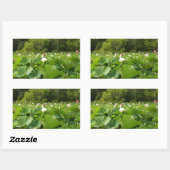 Veld Lotus Flowers Summer Garden Rechthoekige Sticker (Vel)