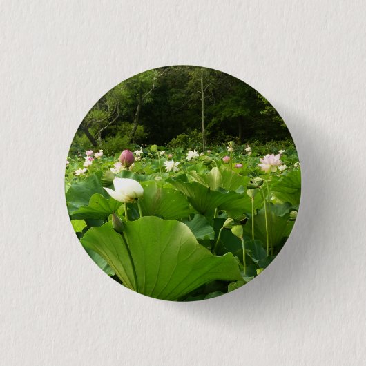 Veld Lotus Flowers Summer Garden Ronde Button 3,2 Cm (Voorkant)