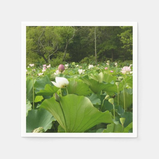 Veld Lotus Flowers Summer Garden Servetten (Voorkant)