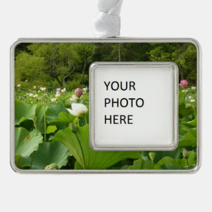 Veld Lotus Flowers Summer Garden Verzilverd Omlijst Ornament