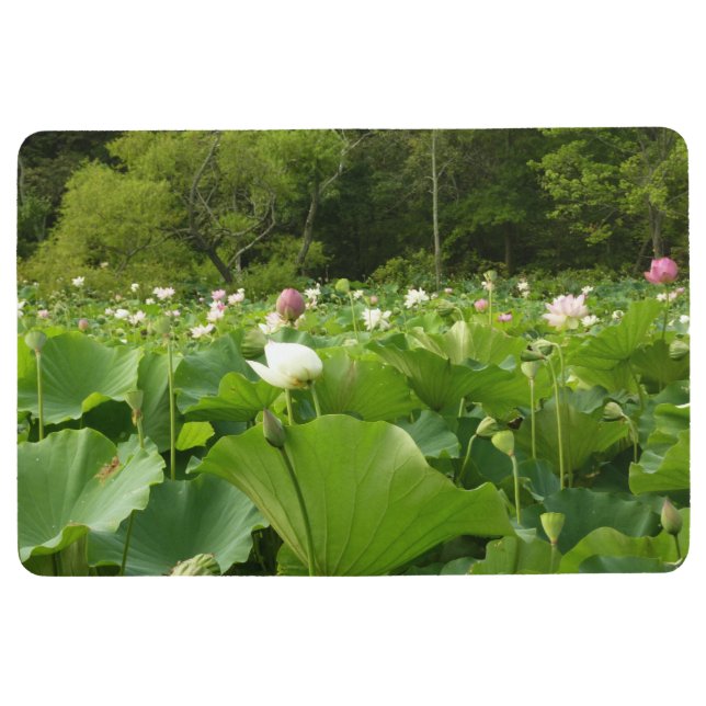 Veld Lotus Flowers Summer Garden Vloermat (Voorkant)