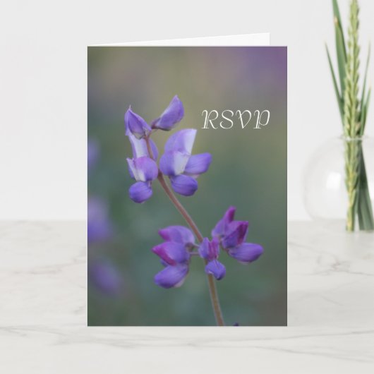 Veld Lupine RSVP (Voorkant)