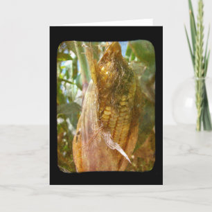 Veld maïs blanco binnen alle gelegenheid groet kaart