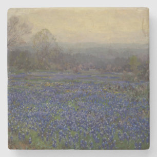 Veld met blauwebonbloemen (landelijk landschap) stenen onderzetter