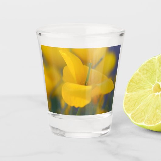 Veld met bloeiende klaprozen shot glas (Voorkant)