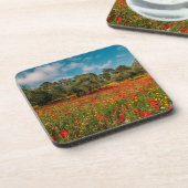 Veld met bloemen en bomen bier onderzetter (Linkerzijde)