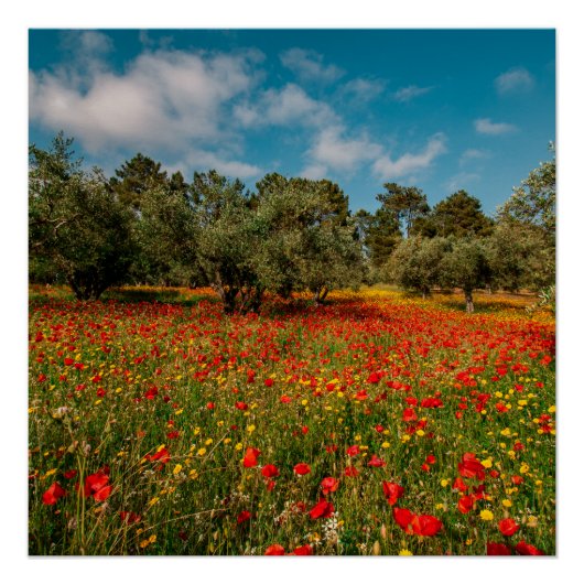 Veld met bloemen en bomen perfect poster (Voorkant)
