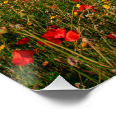 Veld met bloemen en bomen perfect poster (Hoek)