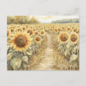 Veld met gele zonnebloemen briefkaart (Voorkant)