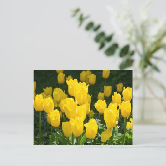 Veld met heldere gele tulpen briefkaart (Staand voorkant)
