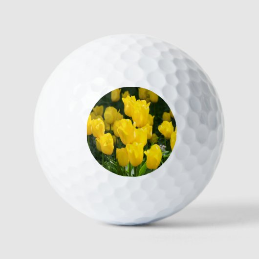 Veld met heldere gele tulpen golfballen (Voorkant)