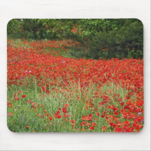 Veld met hybride papaverbloemen aangeplant langs muismat