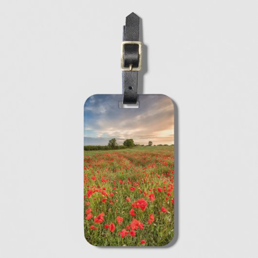 Veld met klaprozen bagagelabel (Voorkant (verticaal))
