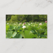 Veld met Lotusbloemen Visitekaartje (Achterkant)