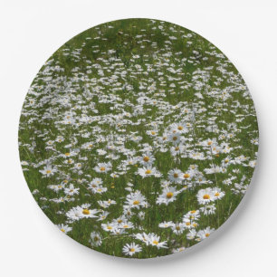 Veld met Madeliefjes Alaskaanse Wilde Bloemen Papieren Bordje