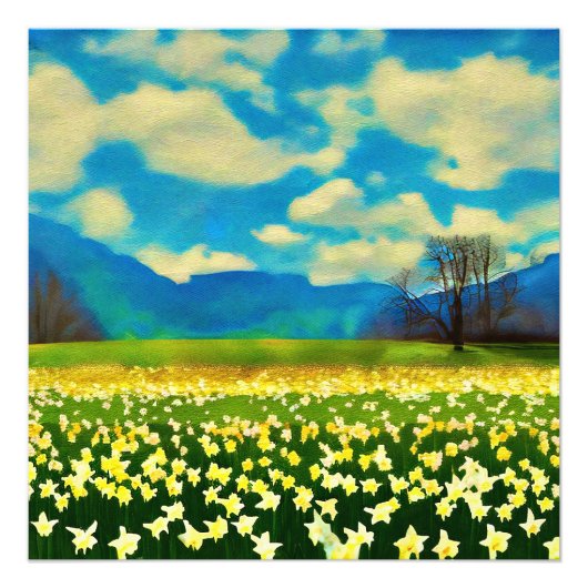 Veld met narcissen - schilderij foto afdruk (Voorkant)