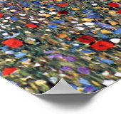 Veld met papavers, Gustav Klimt Poster (Hoek)