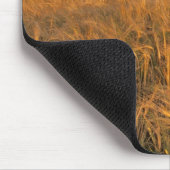 Veld met rijpende gerst langs de Rocky Muismat (Hoek)