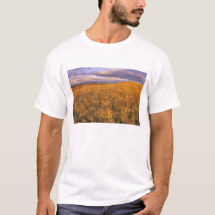 Veld met rijpende gerst langs de Rocky T-shirt