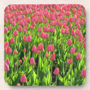 Veld met roze tulpen bier onderzetter
