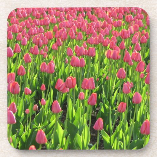 Veld met roze tulpen bier onderzetter (Voorkant)