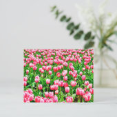Veld met roze tulpen briefkaart (Staand voorkant)