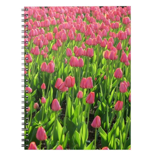 Veld met roze tulpen notitieboek (Voorkant)