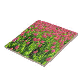 Veld met roze tulpen tegeltje (Zijkant)