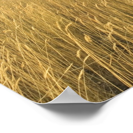 Veld met stormen wolken poster (Hoek)