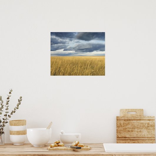 Veld met stormen wolken poster (Keuken)