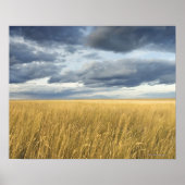 Veld met stormen wolken poster (Voorkant)