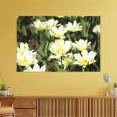 Veld met witte tulpen Foto Canvas Afdruk (Insitu (Woonkamer))
