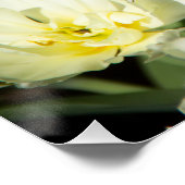 Veld met witte tulpen Foto Perfect Poster (Hoek)