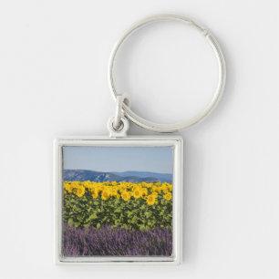 Veld met zonnebloemen en lavendelbloemen, sleutelhanger