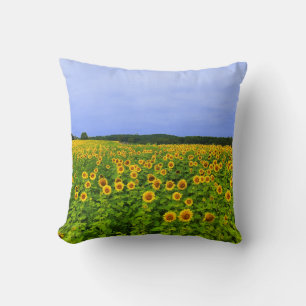Veld met zonnebloemen kussen