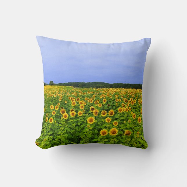 Veld met zonnebloemen kussen (Voorkant)