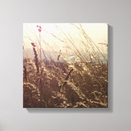 Veld Natuur Canvas Print