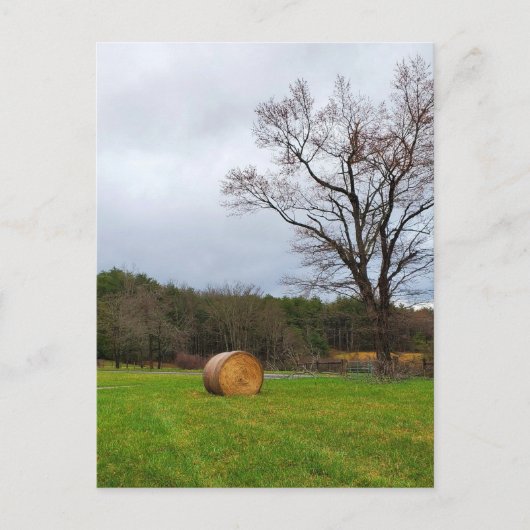 Veld op een dag van de troep briefkaart (Voorkant)